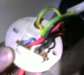 Incorrectly wired light fitting